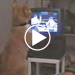 video teaser