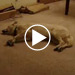 video teaser