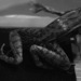 jumping frog