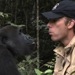 man and gorilla