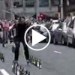 rollerblades