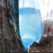 sugaring