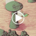video teaser